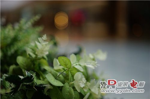 万元全画幅相机杀手 微单相机索尼A7评测