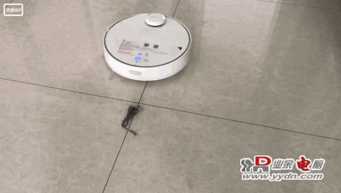 7.gif